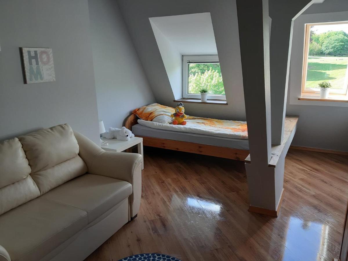 Apartment Blonia